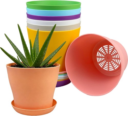 Pack plastic plant - plastic,
