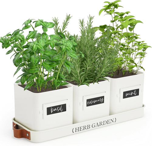 Perfnique indoor herb garden - perfnique,