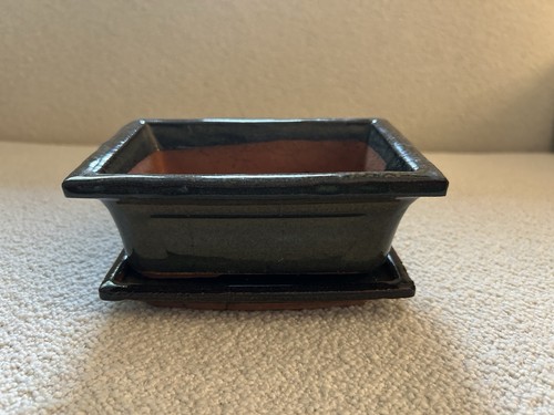 Green glazed ceramic bonsai - green,