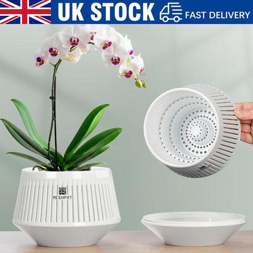 Meshpot orchid pot with holes - pot,