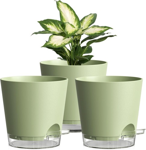 Self watering plant pots - plant,