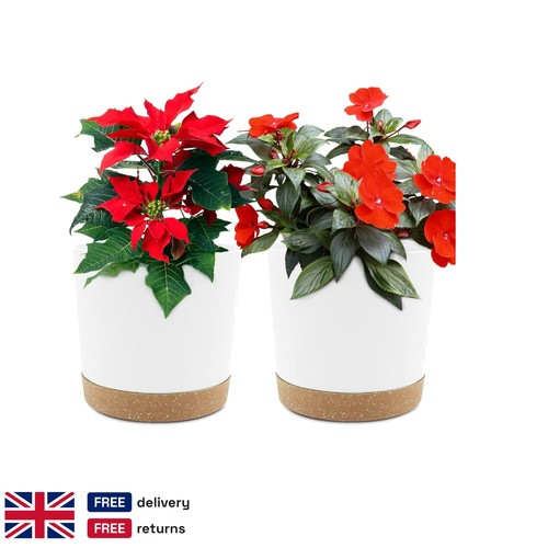 Round white plastic plant - plastic,