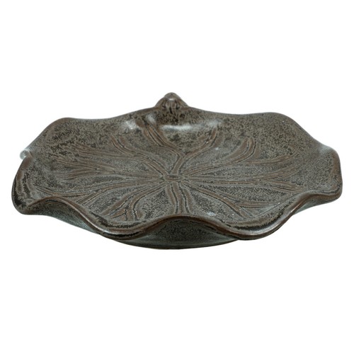 Plant saucer drainage - plant,