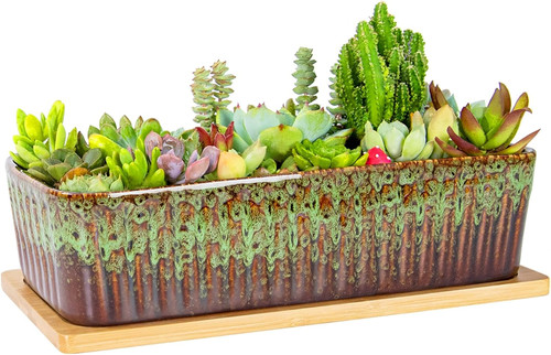 Succulent plant pot 5 - -, cm