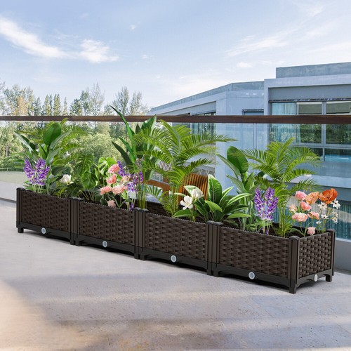 Raised bed herb flower - herb,