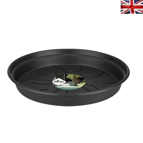Modern 22cm living black plant - 22cm,