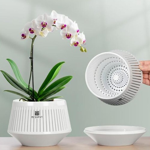 Meshpot orchid pot with holes - pot,