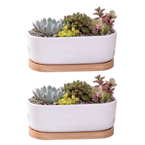 Succulent planter ceramic - succulent,