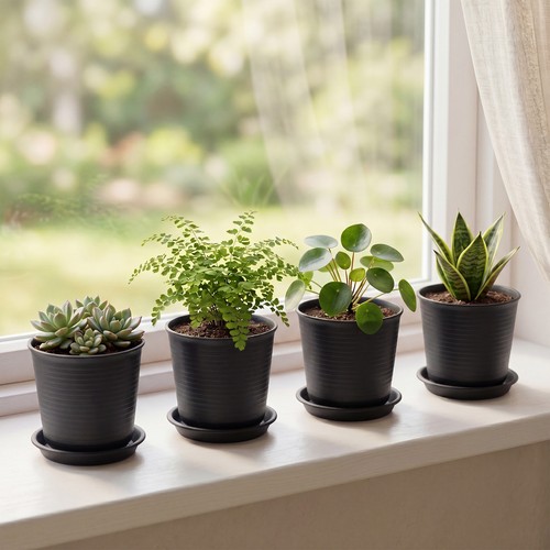 4pcs mini plant pots - plant, with