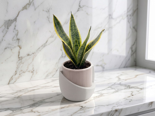 Modern japandi ribbed - ribbed, planter