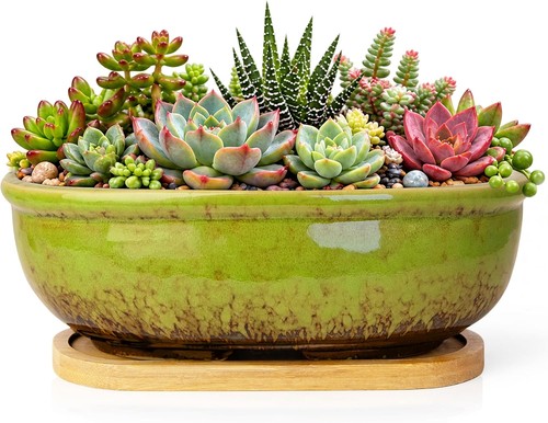 Artketty ceramic succulent - ceramic,