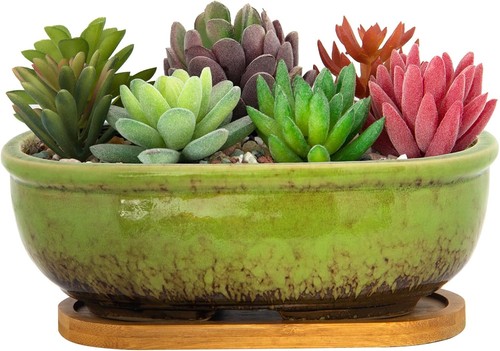 Rectangular ceramic succulent - rectangular,