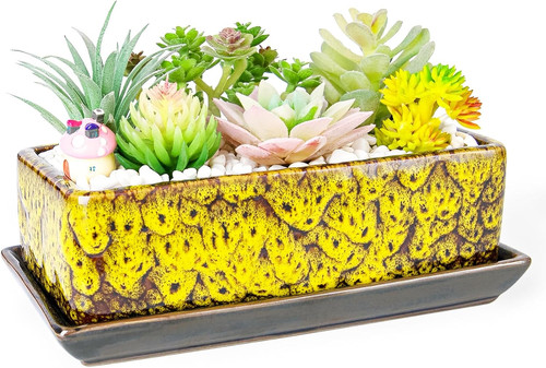 Succulent pots long - succulent,