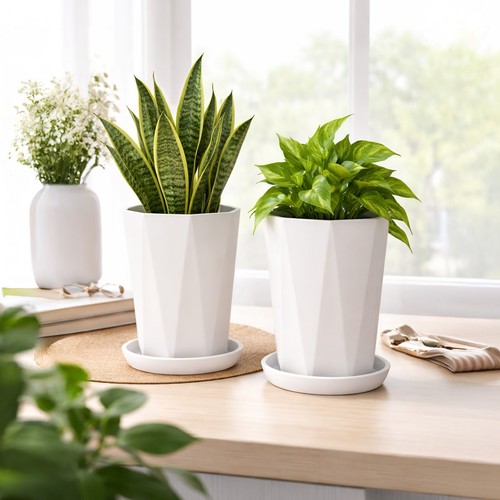 Pack 26cm plant pots with - pack,