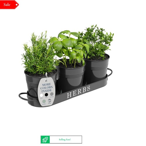 Set black indoor herb - indoor,