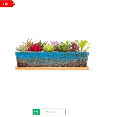 30cm ceramic succulent - ceramic,