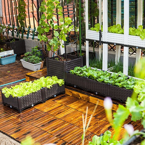 Planter outdoor raised - outdoor, garden