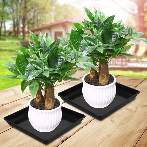 Pcs planter saucers flower - saucers,