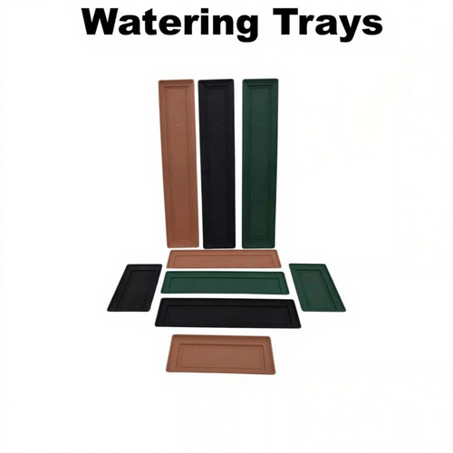 Watering trays plant - watering,