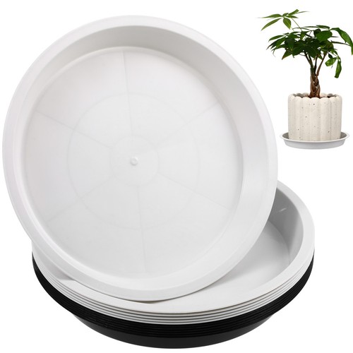 Pcs potted plants - potted, tray