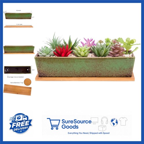 30cm long rectangle - 30cm, succulent