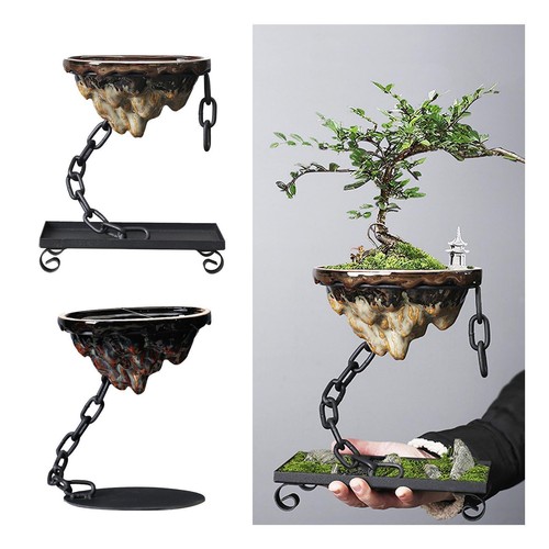 Succulent planter decor - succulent,