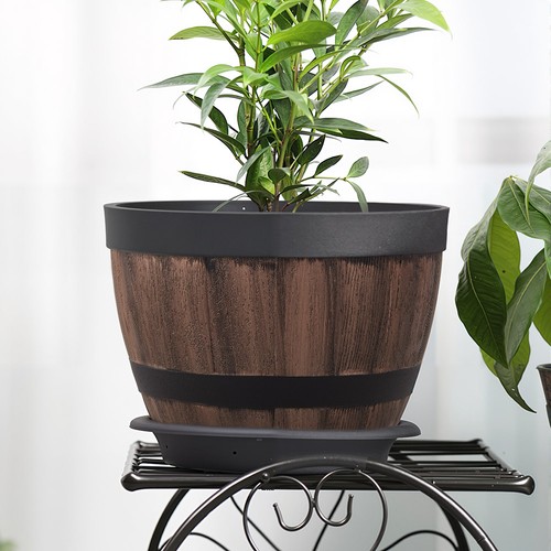 Barrel planter flower plant - barrel,