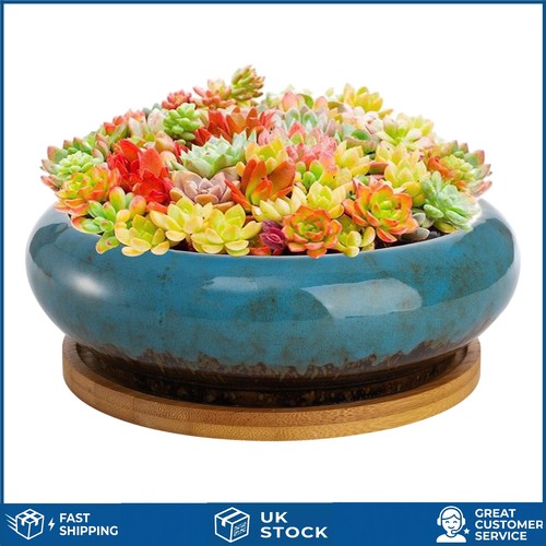 Elegant glazed ceramic - elegant,