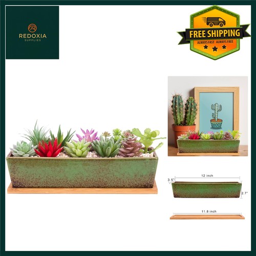 Modern ceramic succulent - modern,