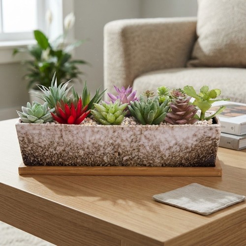 Succulent plant pots 30cm - pots,