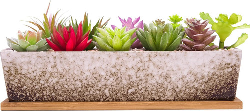 Succulent plant pots - pots, 30.5cm