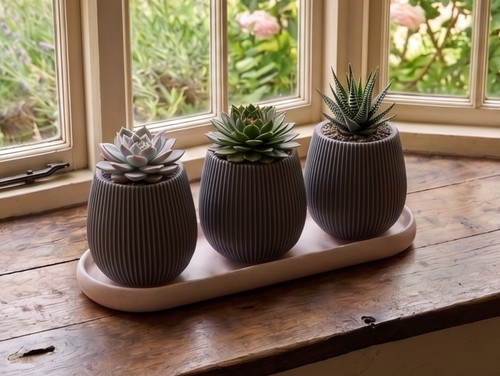 Modern succulent planters with - modern,